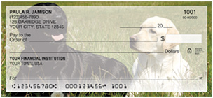 Labrador Retriever Checks