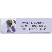 rachaelhale® Dogs Address Labels