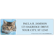 rachaelhale® Kittens Address Labels